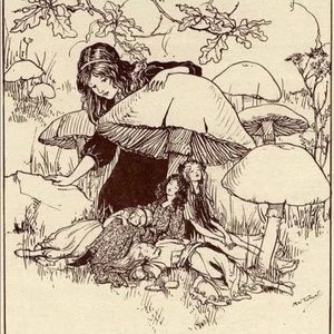 Meet your Posher, Evan